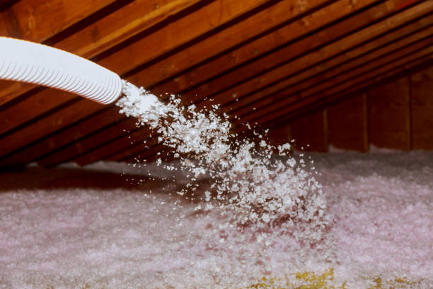 Best Spray Foam Insulation in Wellton, AZ