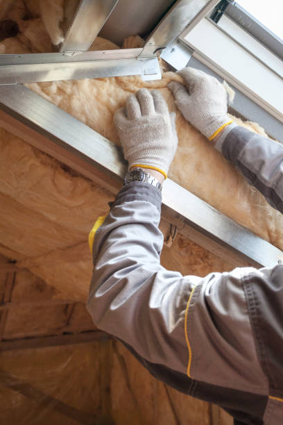 Best Blown-in Insulation in Wellton, AZ