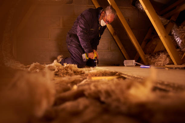 Best Specialized Insulation Services in Wellton, AZ